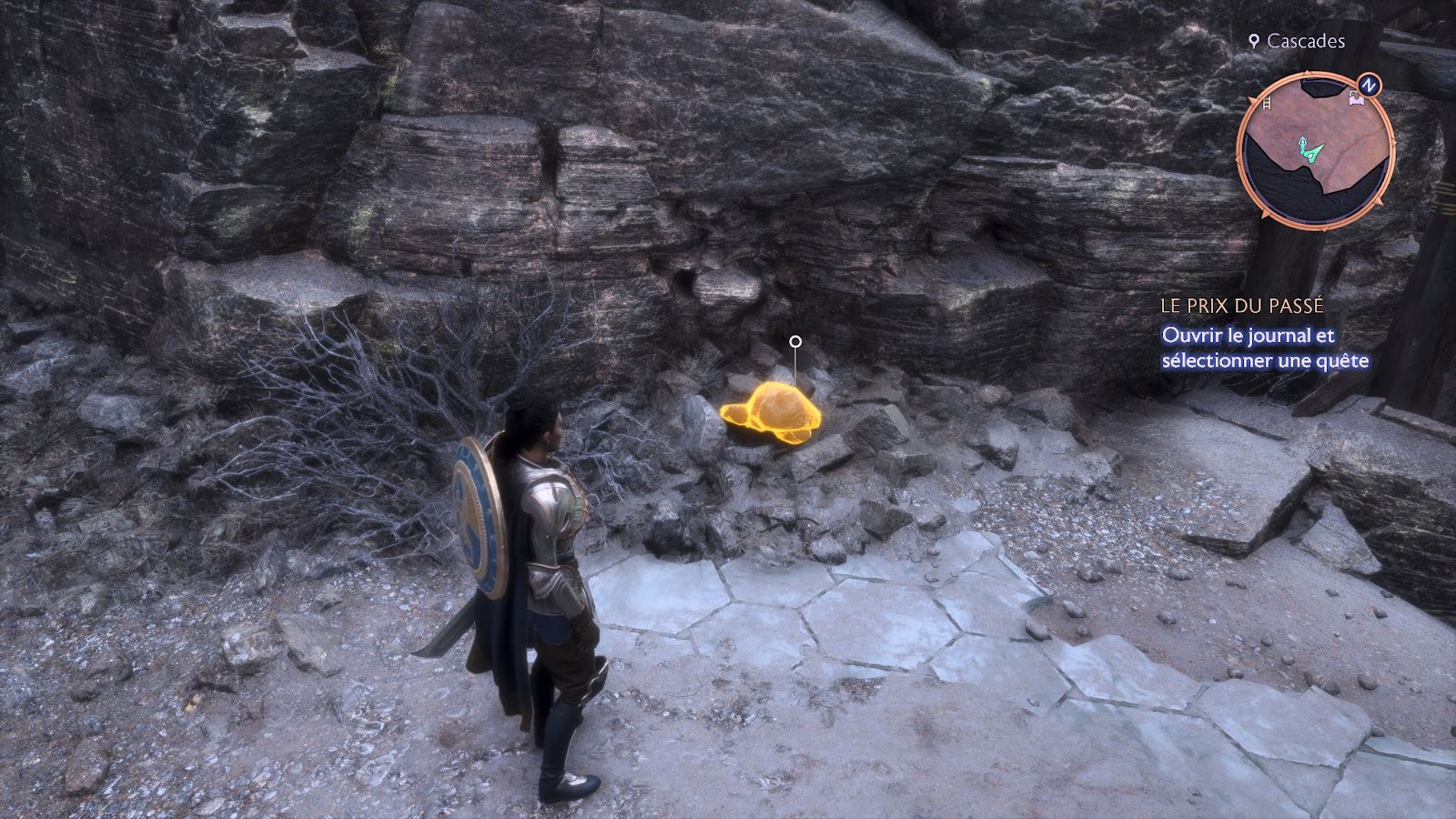 Collectibles can be highlighted by turning on contrast.