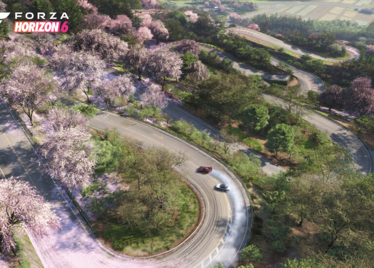 Forza Horizon 6 – Test d&rsquo;accessibilité live